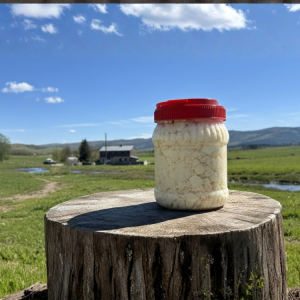 Bidon İnek Tulum Peyniri (600 GR)